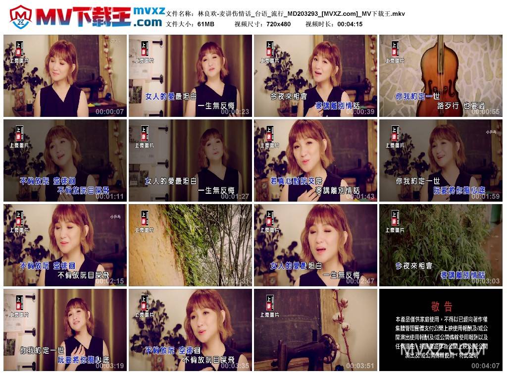 林良欢-麦讲伤情话_台语_流行_MD203293